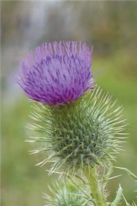 Scottish Thistle - The Symbol of Scotland Journal: 150 page lined notebook/diary