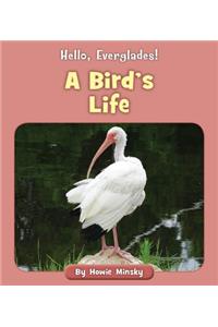 Bird's Life