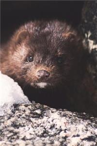 Say Hello to the Mink Journal: 150 Page Lined Notebook/Diary