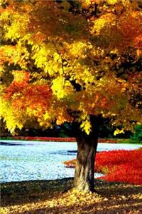 Journal Bright Beautiful Autumn Tree Fall Foliage