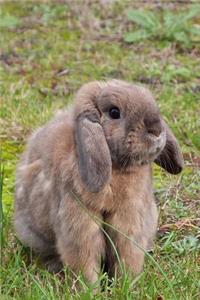 Lop Rabbit Journal