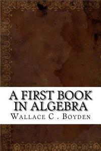 A First Book in Algebra