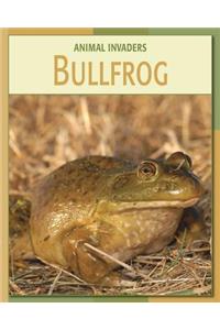 Bullfrog