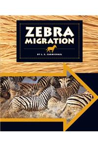 Zebra Migration