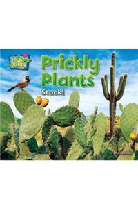 Prickly Plants