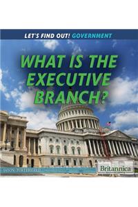 What Is the Executive Branch?