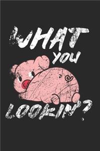 Pig Notebook