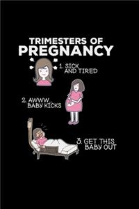 Trimesters of pregnancy