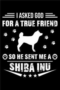 I Asked God For A True Friend So He Sent Me A Shiba Inu