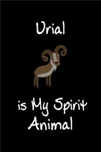 Urial is My Spirit Animal
