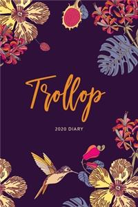 2020 Diary; Trollop