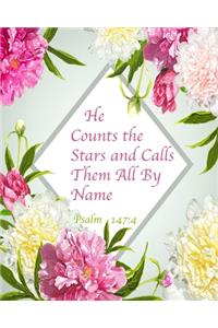 He Counts The Stars and Calls Them All By Name Psalm 147
