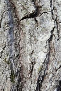 2020 Weekly Planner Oak Bark Photo 134 Pages