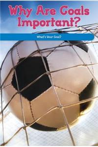 Why Are Goals Important?