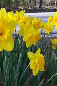 Floral 2019 Weekly Planner Spring Summer Flowers Daffodils 134 Pages