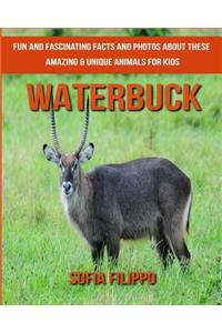 Waterbuck