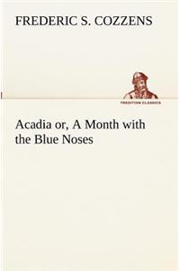 Acadia or, A Month with the Blue Noses