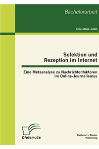 Selektion und Rezeption im Internet