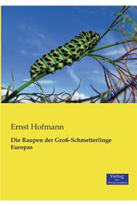 Raupen der Groß-Schmetterlinge Europas