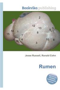 Rumen