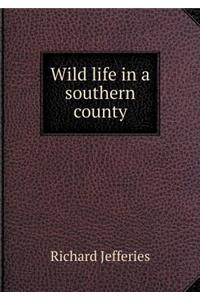 Wild Life in a Southern County