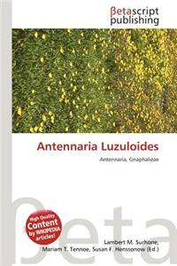 Antennaria Luzuloides