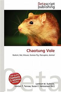 Chaotung Vole