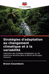 Stratégies d'adaptation au changement climatique et à la variabilité