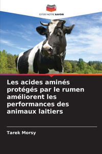 Les acides aminés protégés par le rumen améliorent les performances des animaux laitiers