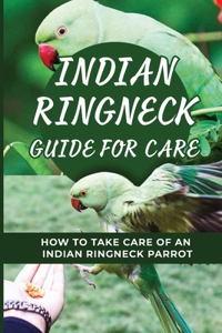 Indian Ringneck Guide For Care