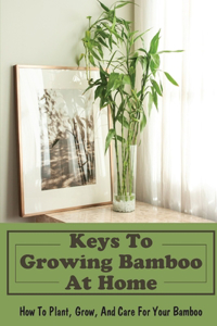 Keys To Growing Bamboo At Home_how To Plant, Grow, And Care For Your Bamboo
