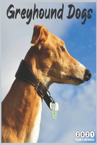 Greyhound Dogs 2021 Wall Calendar