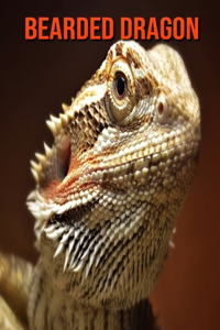 Bearded Dragon