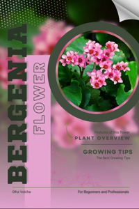 Bergenia