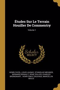 Études Sur Le Terrain Houiller De Commentry; Volume 1