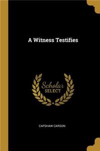 A Witness Testifies