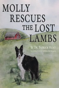 Molly Rescues the Lost Lambs