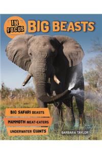 In Focus: Big Beasts