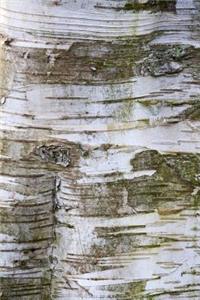 The Bark of a Birch Tree in the Woods Journal