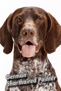 German Shorthaired Pointer