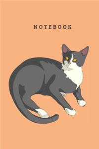 Cat Notebook