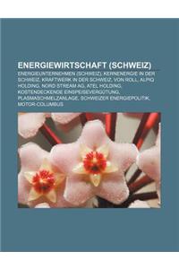 Energiewirtschaft (Schweiz): Energieunternehmen (Schweiz), Kernenergie in Der Schweiz, Kraftwerk in Der Schweiz, Von Roll, Alpiq Holding