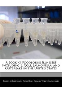 A Look at Foodborne Illnesses Including E. Coli, Salmonella, and Outbreaks in the United States