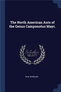 The North American Ants of the Genus Camponotus Mayr.