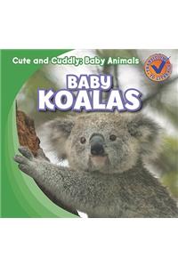 Baby Koalas