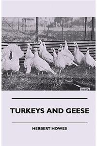 Turkeys And Geese
