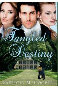 Tangled Destiny