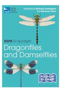 RSPB ID Spotlight - Dragonflies and Damselflies