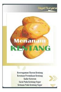 Budidaya Kentang