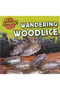 Wandering Woodlice